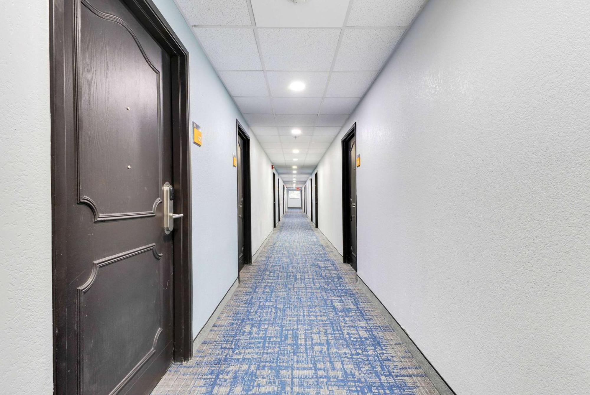 La Quinta Inn & Suites By Wyndham Jacksonville Mandarin Eksteriør bilde